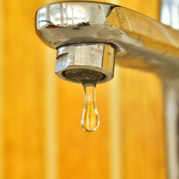 Bacterii coliforme – ce sunt si cum poti sa te bucuri de apa curata la tine acasa?